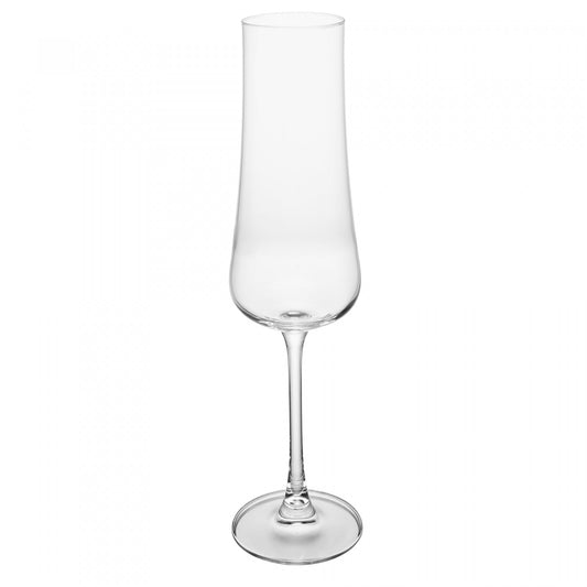 Jogo Taca De Champagne Iduna 250ML Cristal Ecologico Bohemia