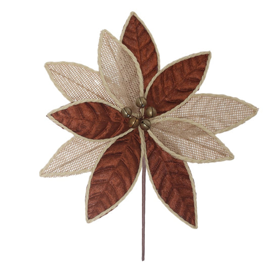 H.bico DE Papagaio Natal Aveludado (marrom Bege) 24cm 28d 10P