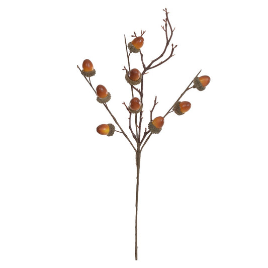 H.nozes Natal (marrom) 38cm