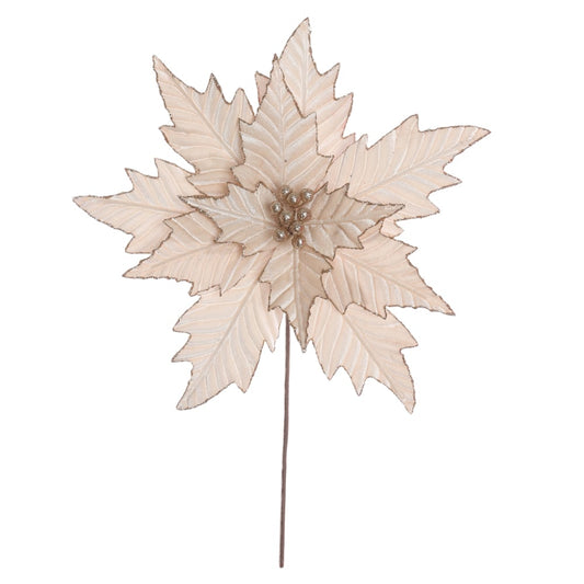H.bico DE Papagaio Natal Aveludado (champanhe Glitter Champanhe) 25cm 45d 12P
